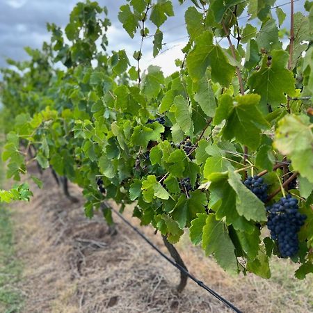 Bracken Ridge Vineyard The Entire Estate Rothbury ภายนอก รูปภาพ