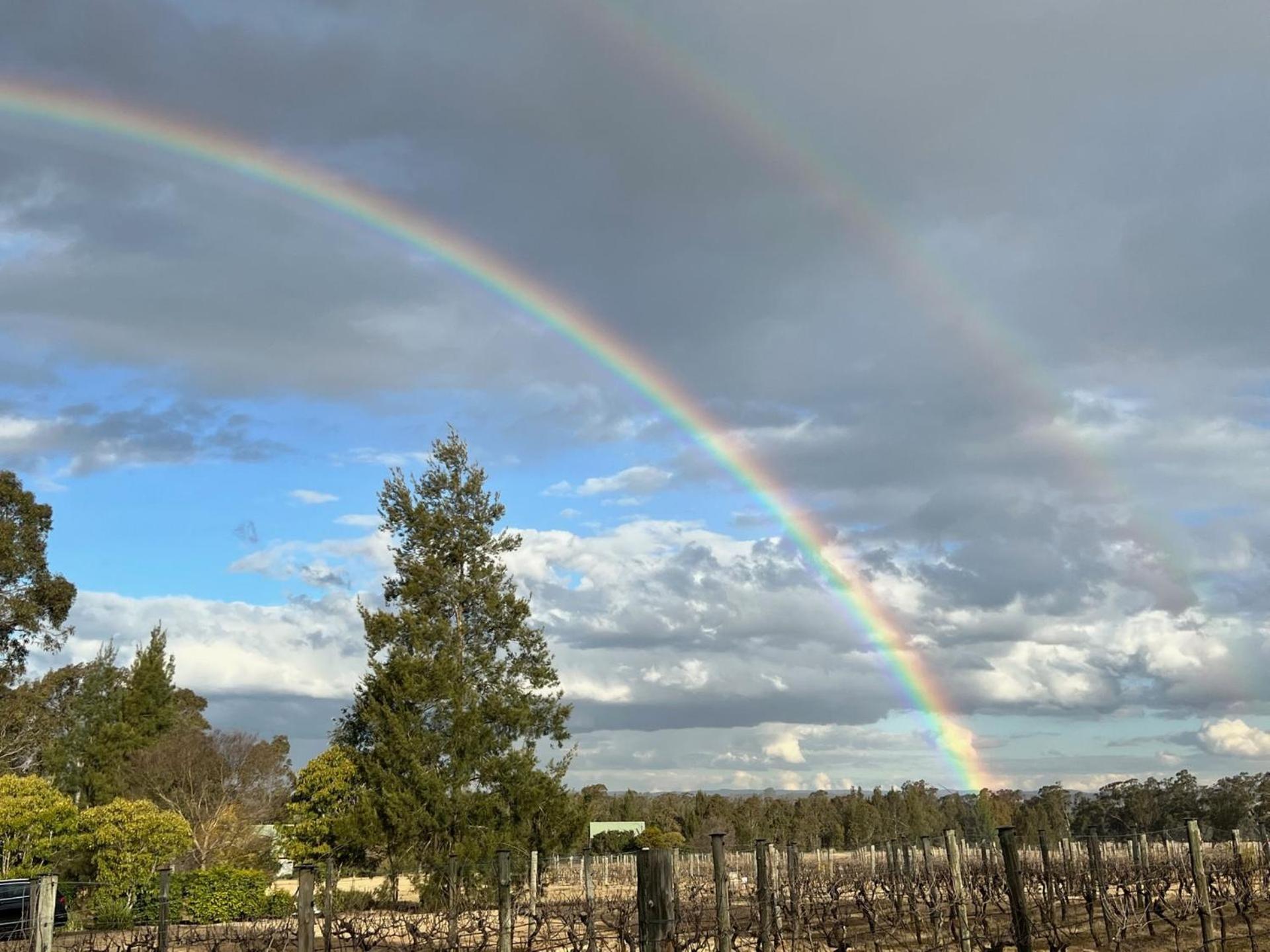 Bracken Ridge Vineyard The Entire Estate Rothbury ภายนอก รูปภาพ