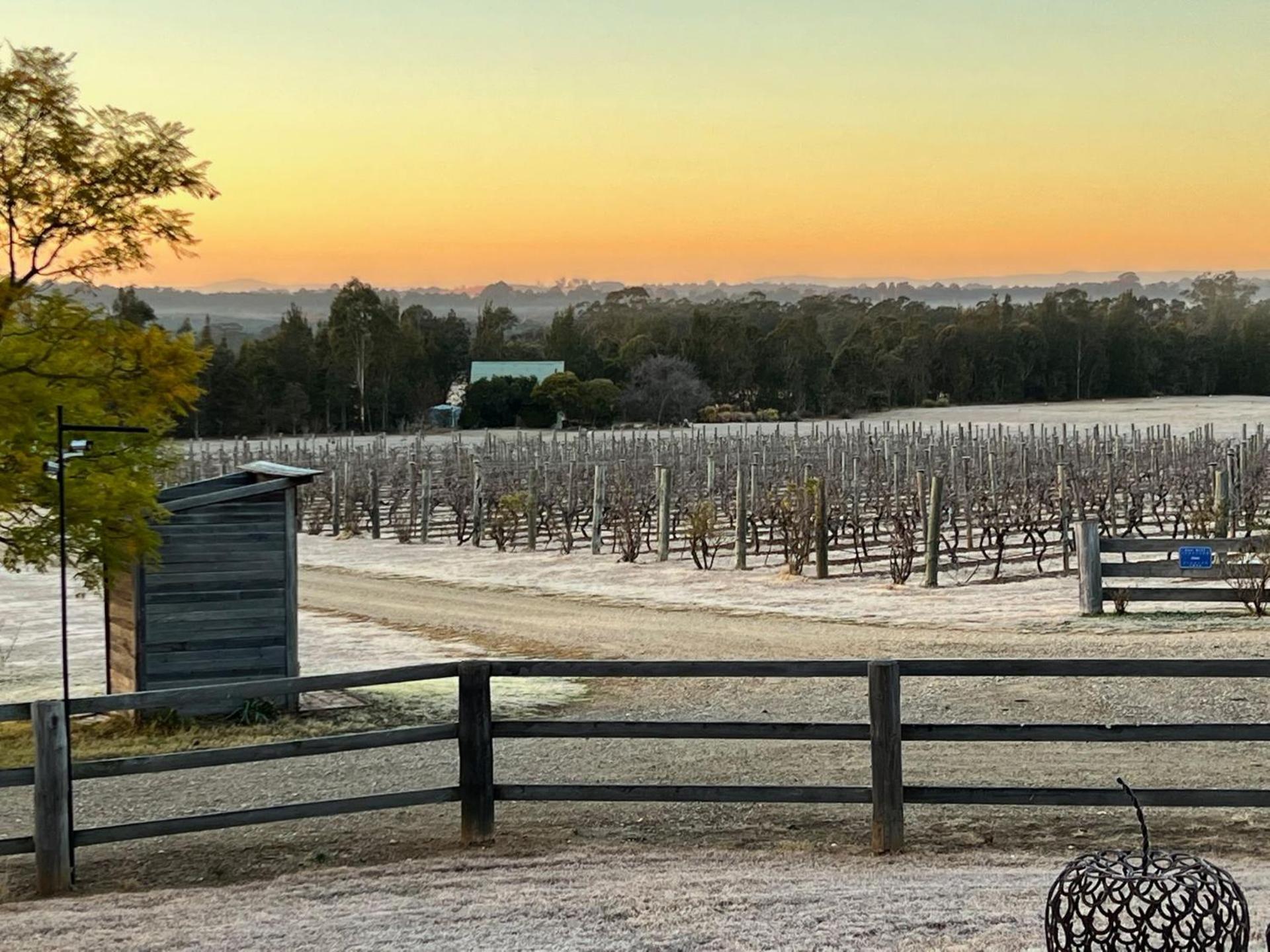 Bracken Ridge Vineyard The Entire Estate Rothbury ภายนอก รูปภาพ