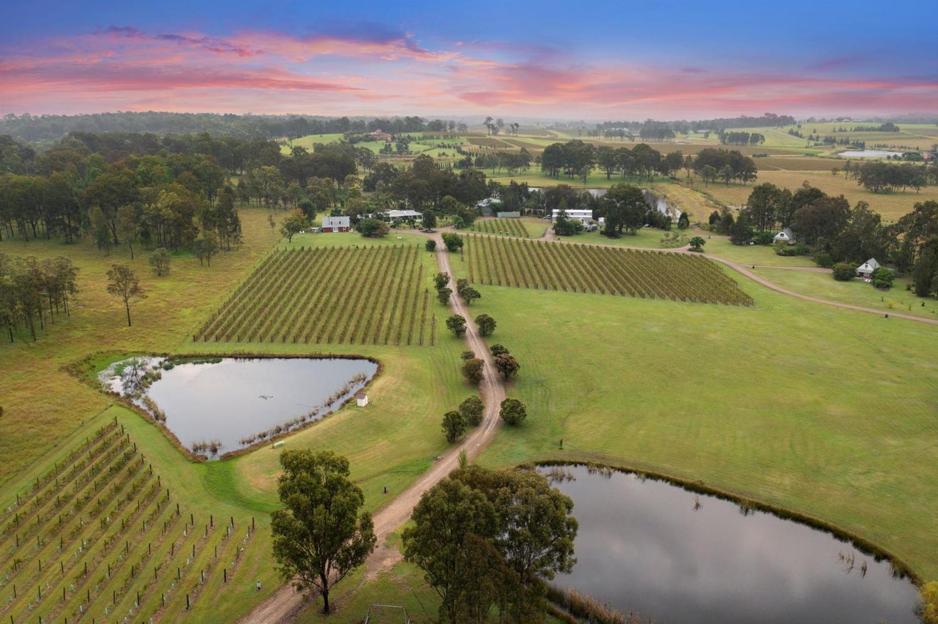 Bracken Ridge Vineyard The Entire Estate Rothbury ภายนอก รูปภาพ