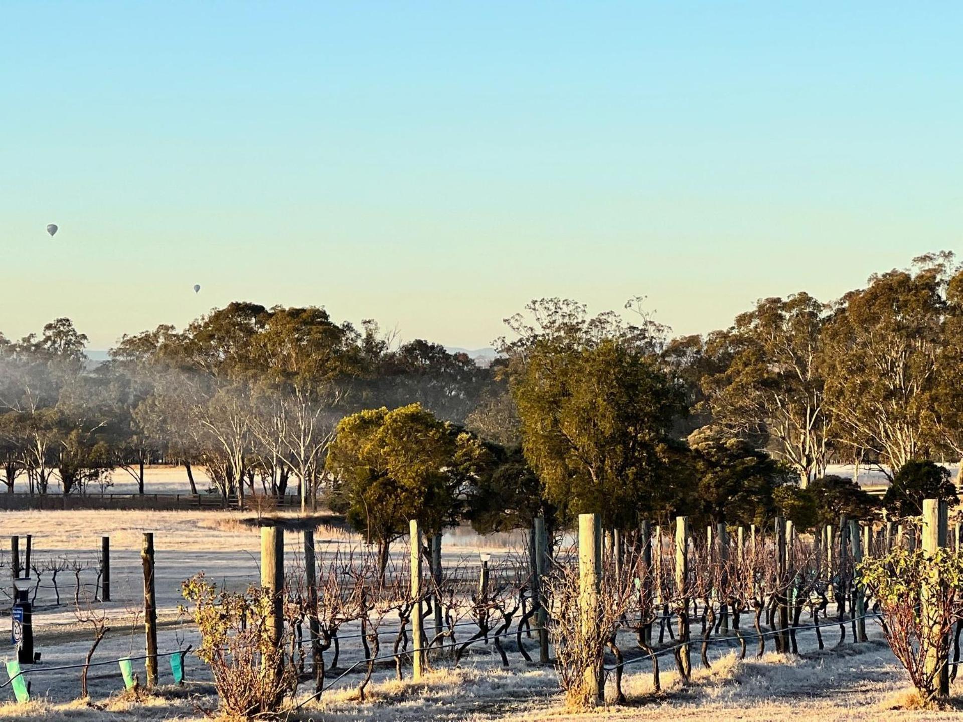 Bracken Ridge Vineyard The Entire Estate Rothbury ภายนอก รูปภาพ